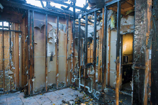 Professional Fire Damage Removal technician working in Alexander City, AL